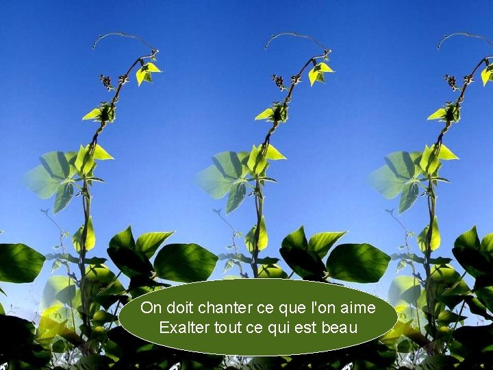 On doit chanter ce que l'on aime Exalter tout ce qui est beau 