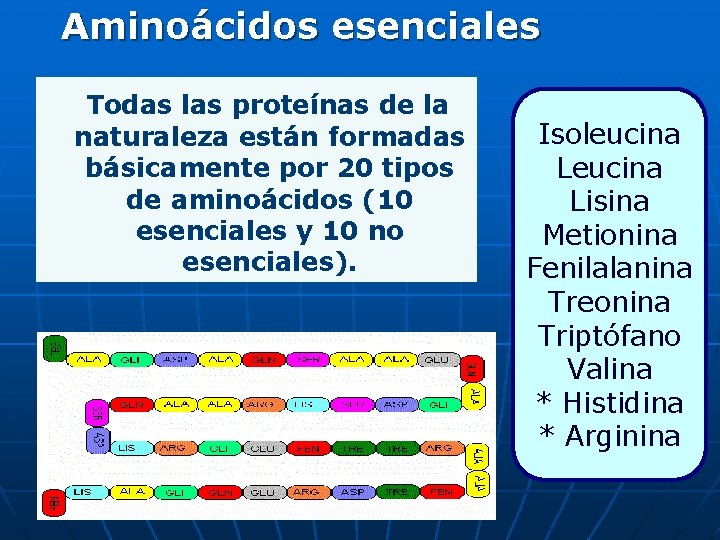 Aminoácidos esenciales Todas las proteínas de la naturaleza están formadas básicamente por 20 tipos
