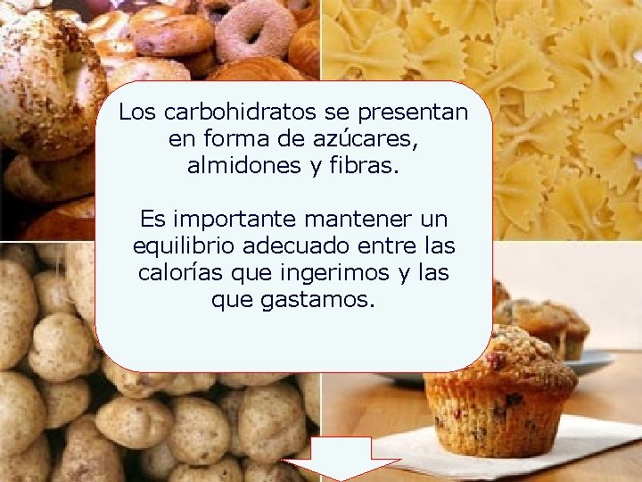 Los carbohidratos se presentan en forma de azúcares, almidones y fibras. Es importante mantener