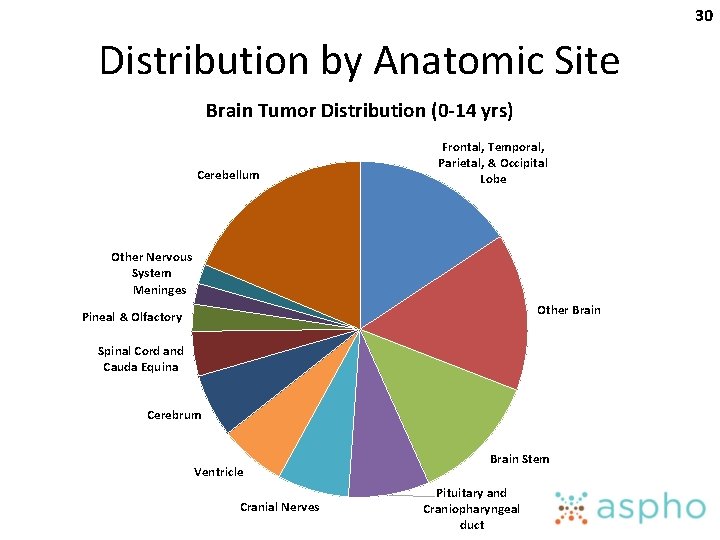 30 Distribution by Anatomic Site Brain Tumor Distribution (0 -14 yrs) Cerebellum Frontal, Temporal,