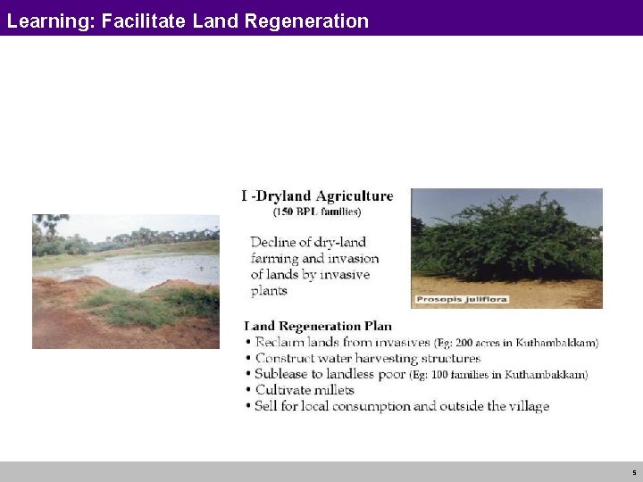 Learning: Facilitate Land Regeneration 5 