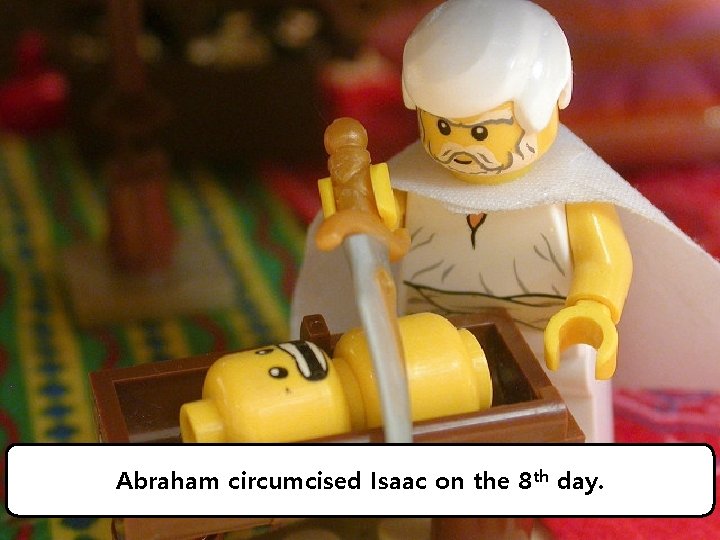 Abraham circumcised Isaac on the 8 th day. 
