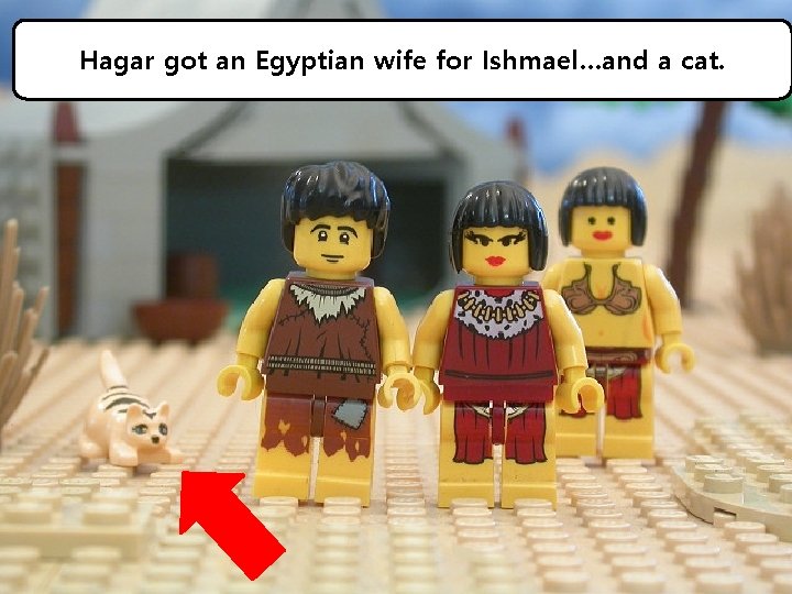 Hagar got an Egyptian wife for Ishmael…and a cat. 