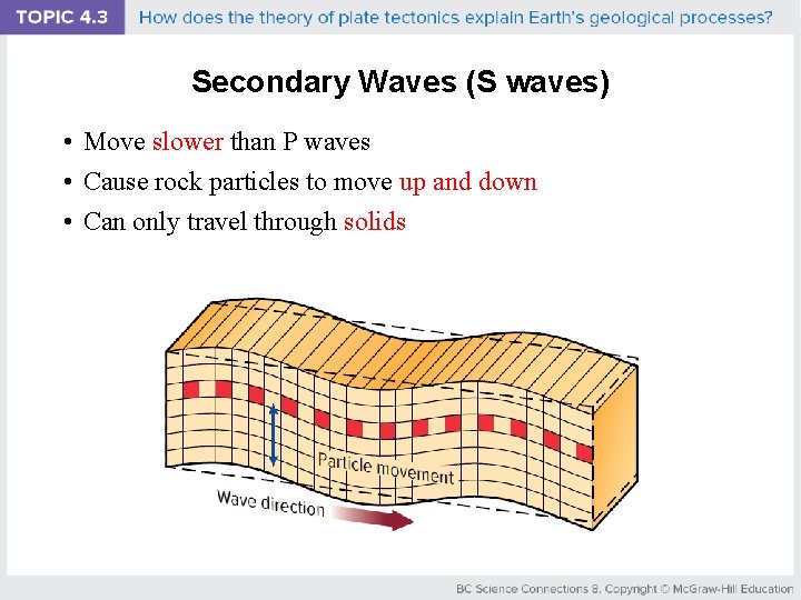 Secondary Waves (S waves) • Move slower than P waves • Cause rock particles