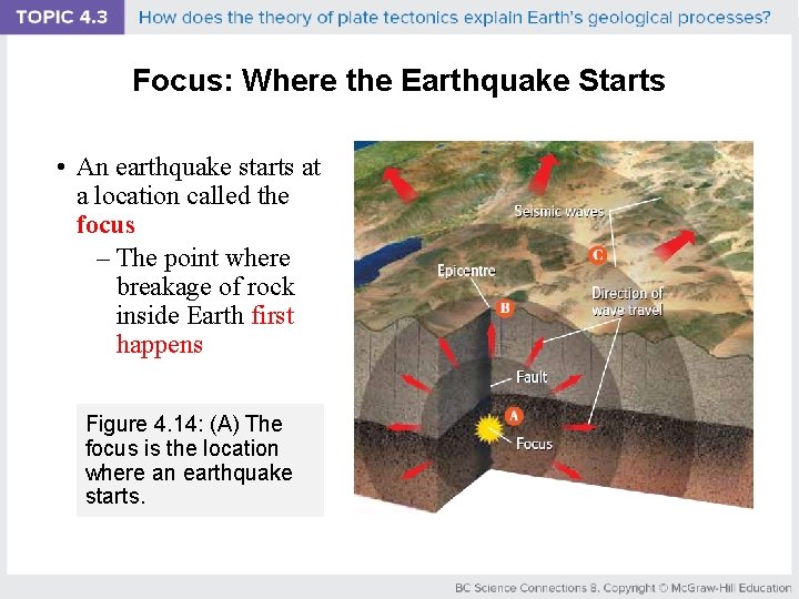 Focus: Where the Earthquake Starts • An earthquake starts at a location called the