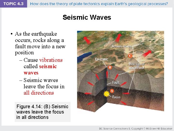 Seismic Waves • As the earthquake occurs, rocks along a fault move into a