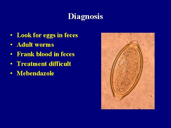 Diagnosis • • • Look for eggs in feces Adult worms Frank blood in