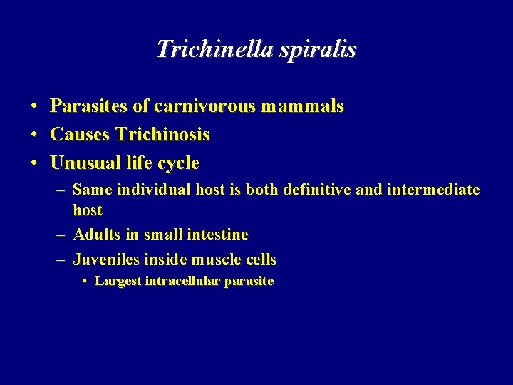 Trichinella spiralis • Parasites of carnivorous mammals • Causes Trichinosis • Unusual life cycle