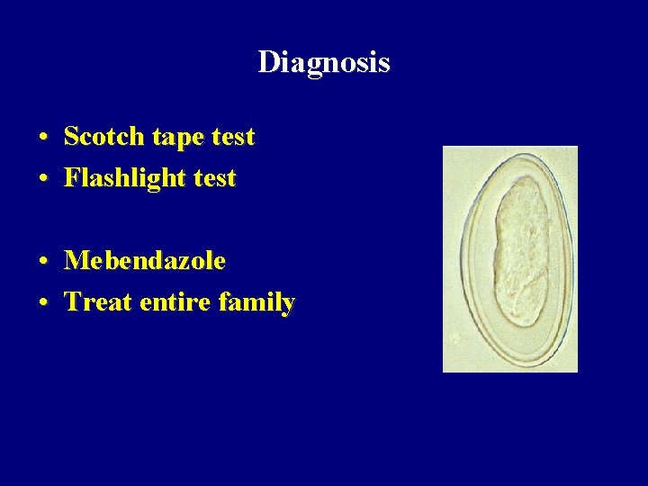 Diagnosis • Scotch tape test • Flashlight test • Mebendazole • Treat entire family