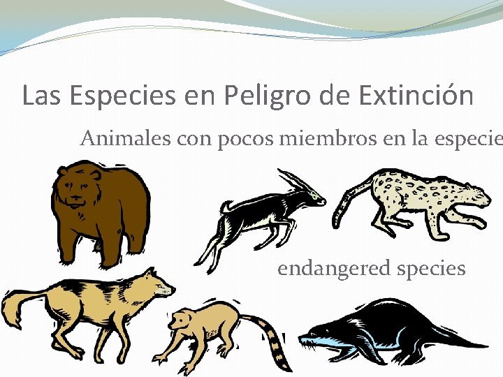 Las Especies en Peligro de Extinción Animales con pocos miembros en la especie endangered