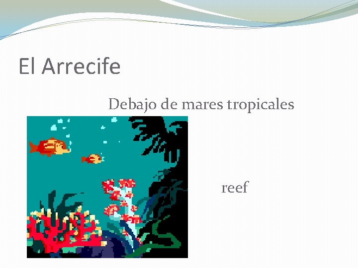 El Arrecife Debajo de mares tropicales reef 