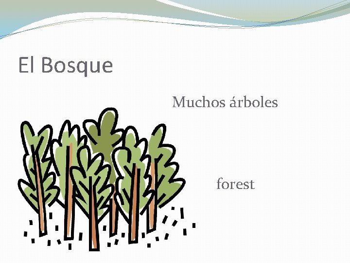 El Bosque Muchos árboles forest 