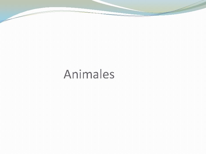 Animales 