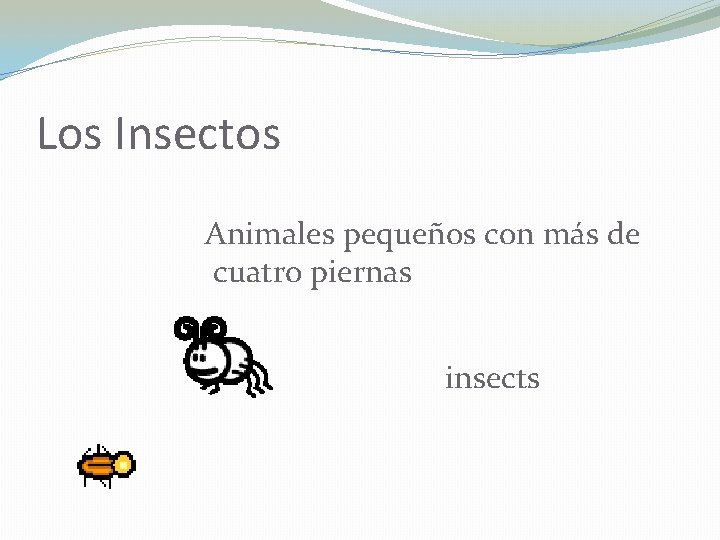 Los Insectos Animales pequeños con más de cuatro piernas insects 