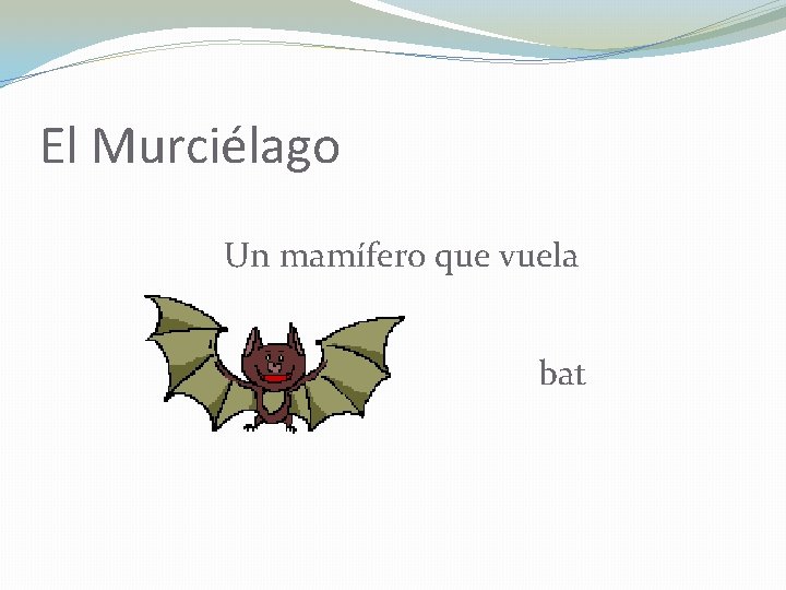 El Murciélago Un mamífero que vuela bat 