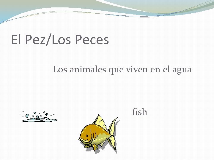 El Pez/Los Peces Los animales que viven en el agua fish 