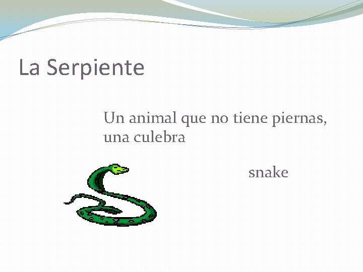 La Serpiente Un animal que no tiene piernas, una culebra snake 