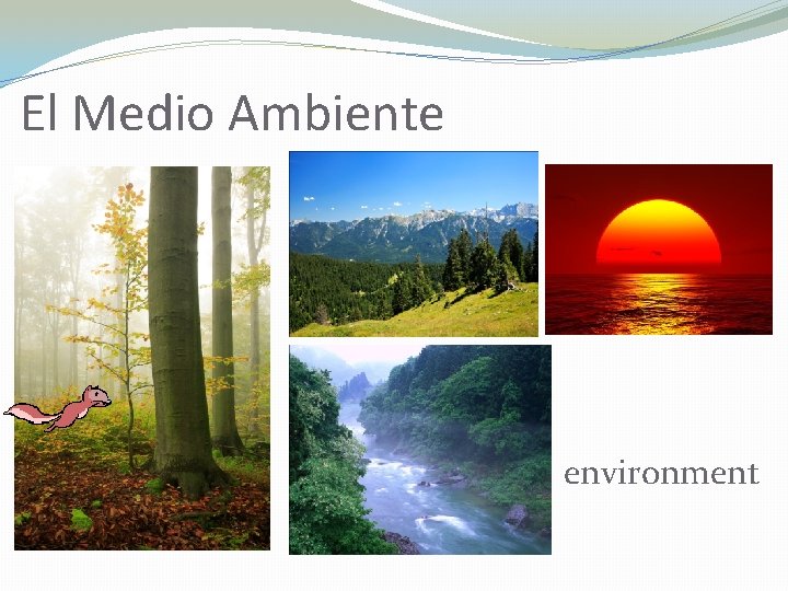 El Medio Ambiente environment 