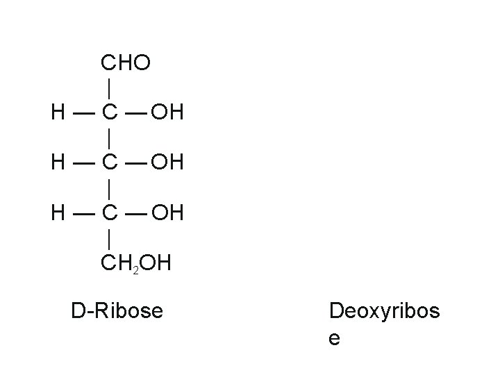 CHO | H — C — OH | CH 2 OH D-Ribose Deoxyribos e