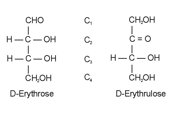 CHO | H — C — OH | CH 2 OH D-Erythrose C 1