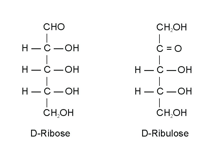 CHO | H — C — OH | CH 2 OH | C=O |