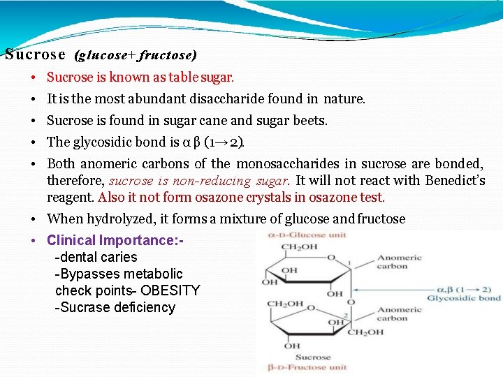 Sucrose (glucose+ fructose) • Sucrose is known as table sugar. • It is the