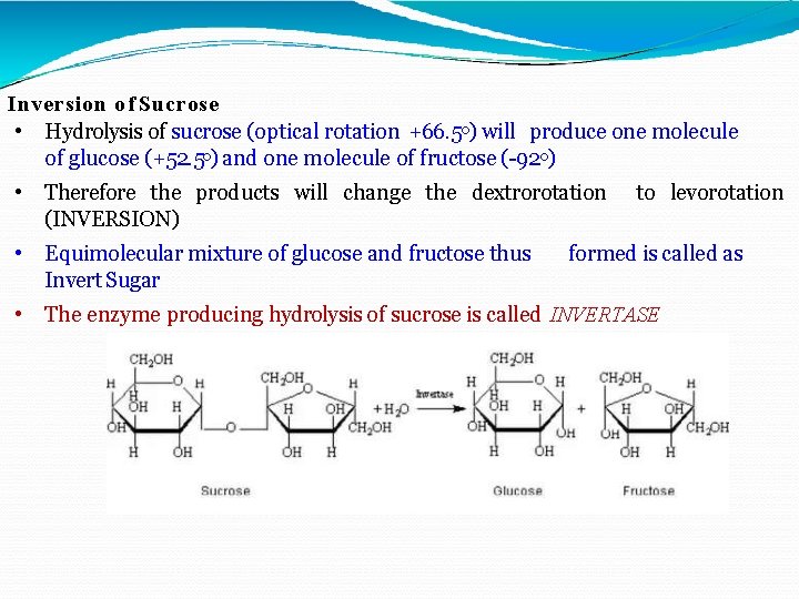 Inversion of Sucrose • Hydrolysis of sucrose (optical rotation +66. 5 o) will produce