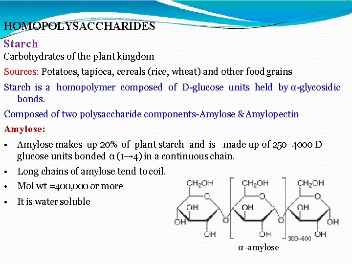 HOMOPOLYSACCHARIDES Starch Carbohydrates of the plant kingdom Sources: Potatoes, tapioca, cereals (rice, wheat) and