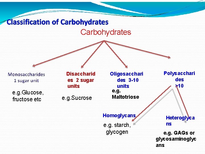 Carbohydrates Disaccharid es 2 sugar units e. g. Glucose, fructose etc e. g. Sucrose