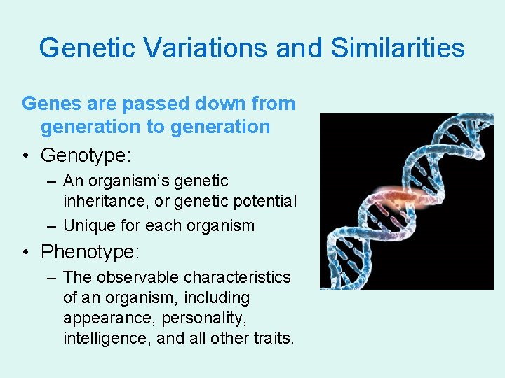 Chapter 2 Genes and Prenatal Development The Beginning