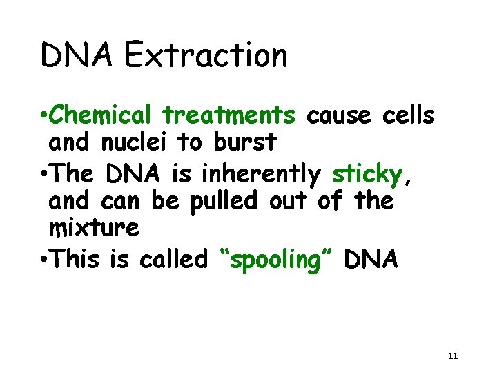 DNA Extraction • Chemical treatments cause cells and nuclei to burst • The DNA