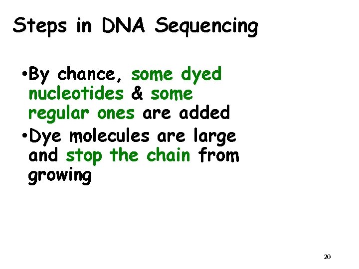 Steps in DNA Sequencing • By chance, some dyed nucleotides & some regular ones