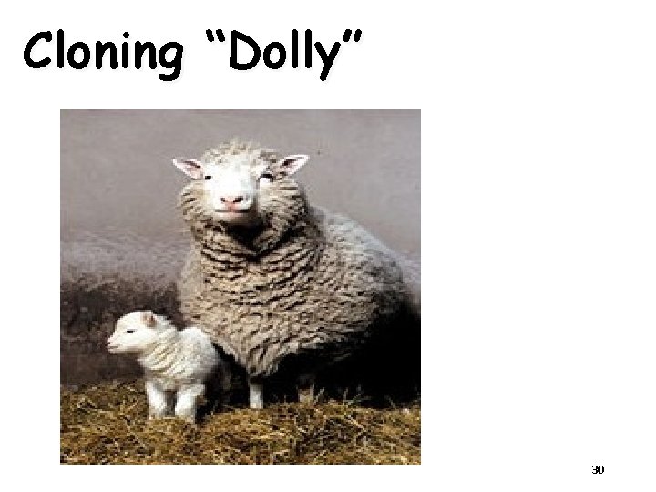 Cloning “Dolly” 30 