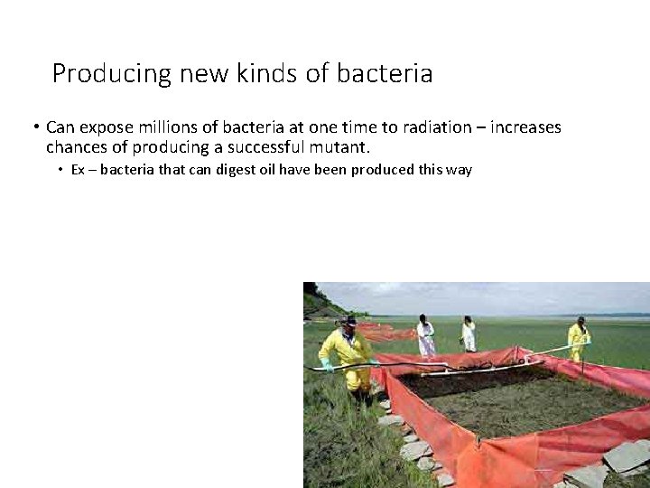 Producing new kinds of bacteria • Can expose millions of bacteria at one time