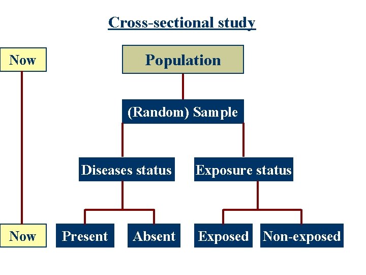 Cross-sectional study Population Now (Random) Sample Diseases status Now Present Absent Exposure status Exposed