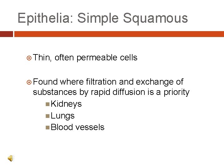 Epithelia: Simple Squamous Thin, often permeable cells Found where filtration and exchange of substances Epithelia: Simple Squamous Thin, often permeable cells Found where filtration and exchange of substances