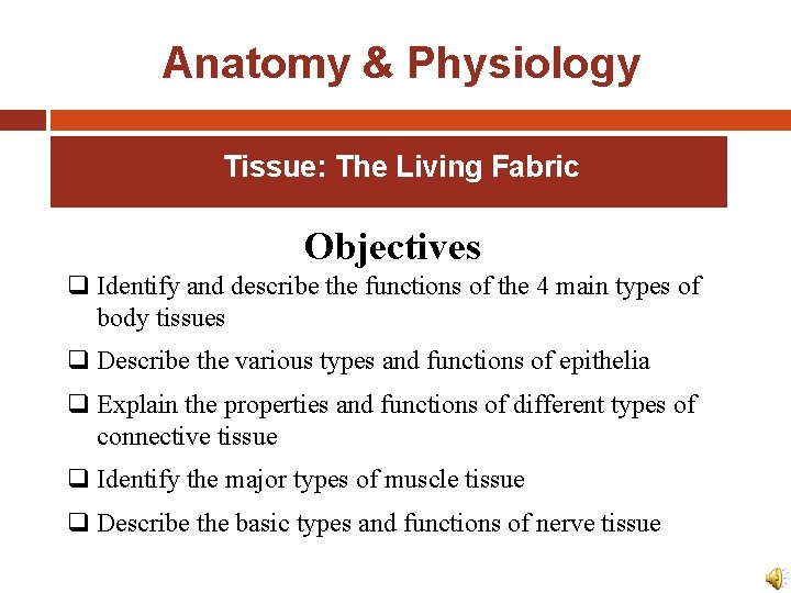 Anatomy & Physiology Tissue: The Living Fabric Objectives q Identify and describe the functions