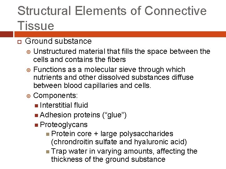 Structural Elements of Connective Tissue Ground substance Unstructured material that fills the space between