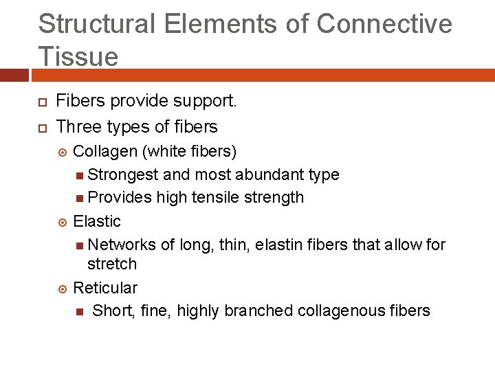 Structural Elements of Connective Tissue Fibers provide support. Three types of fibers Collagen (white Structural Elements of Connective Tissue Fibers provide support. Three types of fibers Collagen (white