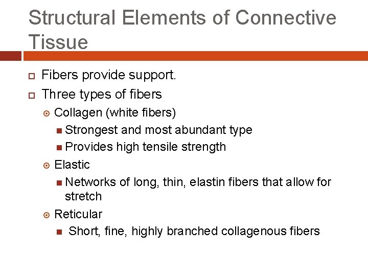 Structural Elements of Connective Tissue Fibers provide support. Three types of fibers Collagen (white