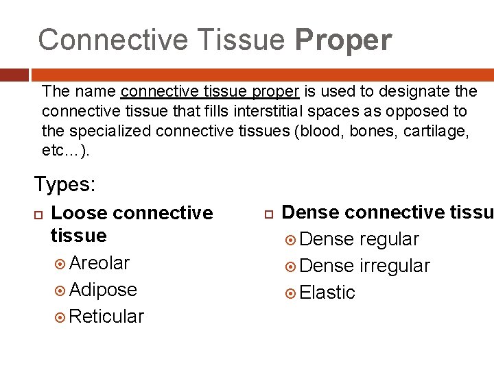 Connective Tissue Proper The name connective tissue proper is used to designate the connective Connective Tissue Proper The name connective tissue proper is used to designate the connective
