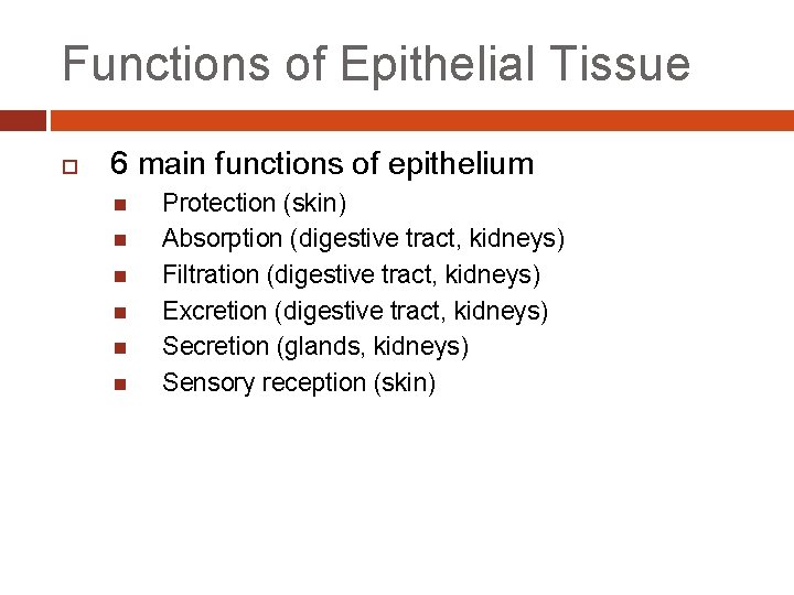 Functions of Epithelial Tissue 6 main functions of epithelium Protection (skin) Absorption (digestive tract,