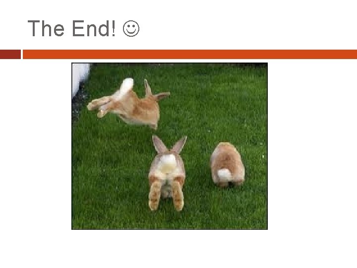 The End! The End!