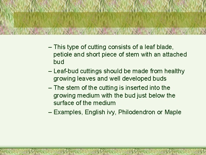 – This type of cutting consists of a leaf blade, petiole and short piece