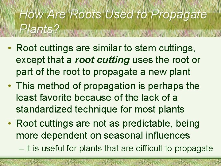 How Are Roots Used to Propagate Plants? • Root cuttings are similar to stem