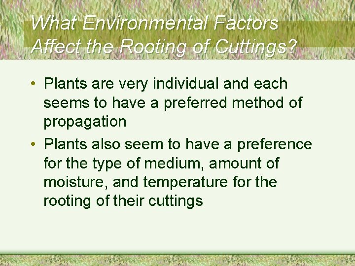 What Environmental Factors Affect the Rooting of Cuttings? • Plants are very individual and