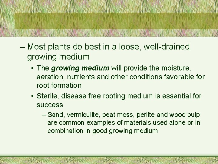 – Most plants do best in a loose, well-drained growing medium • The growing