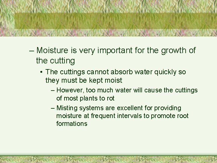 – Moisture is very important for the growth of the cutting • The cuttings