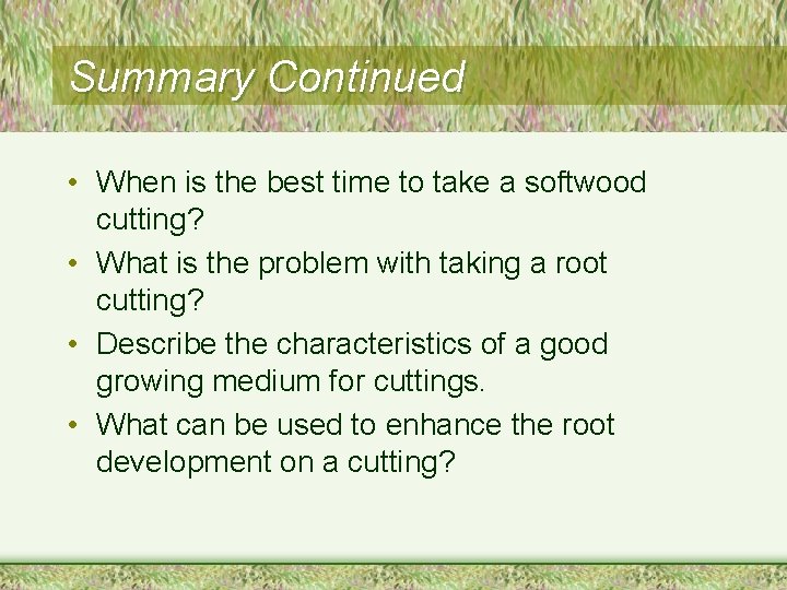 Summary Continued • When is the best time to take a softwood cutting? •