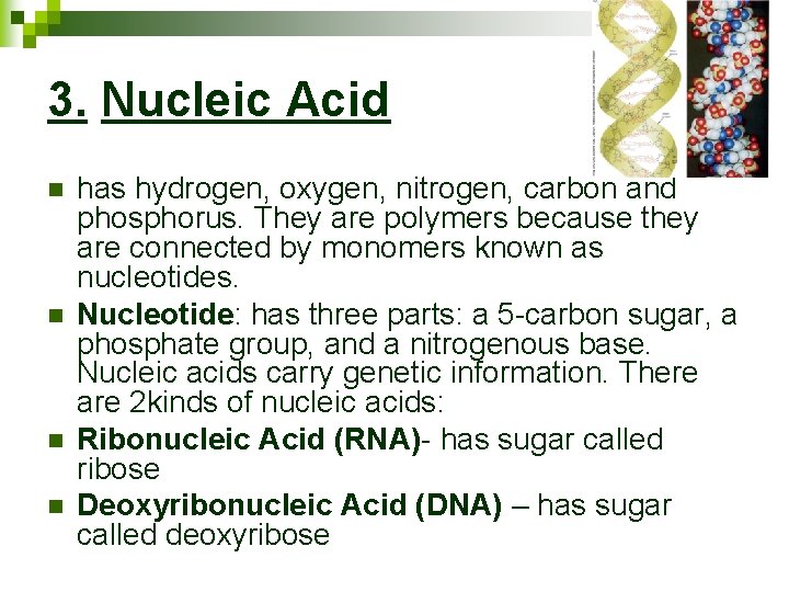 3. Nucleic Acid n n has hydrogen, oxygen, nitrogen, carbon and phosphorus. They are